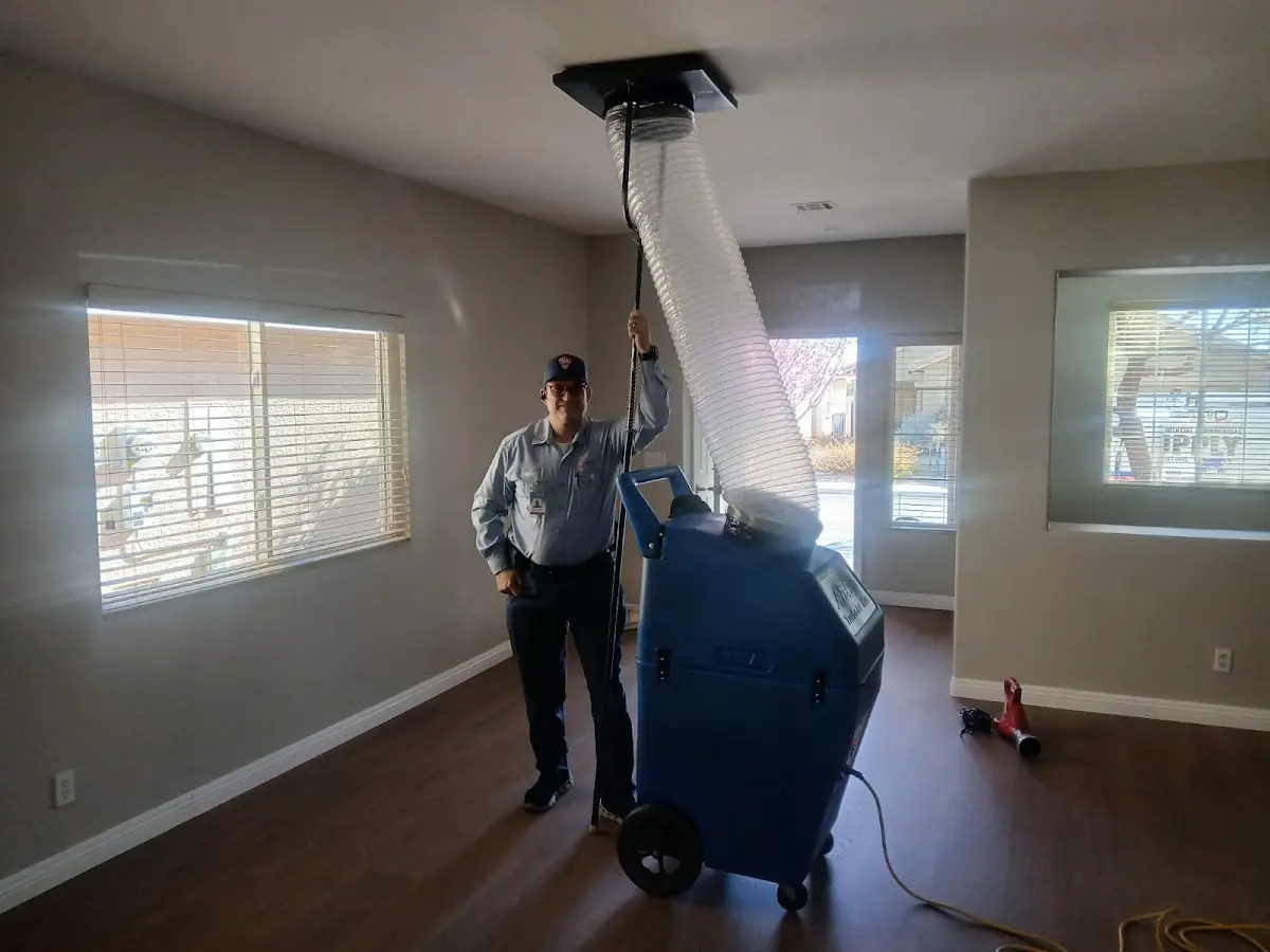 Professional Dryer Vent Cleaning work inside a Calumet City home